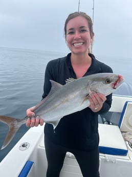 Amberjack Fishing in Destin, Florida