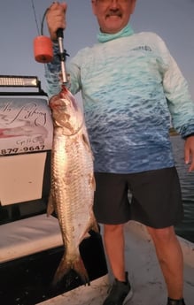 Tarpon Fishing in Corpus Christi, Texas