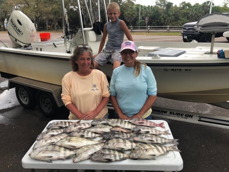 Sheepshead fishing in St. Petersburg, Florida