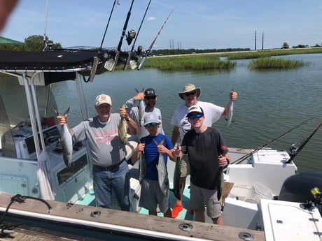 Jack Crevalle, Spanish Mackerel fishing in Hilton Head Island, South Carolina