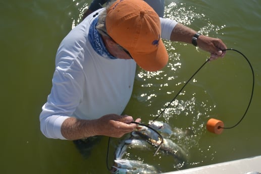 Speckled Trout / Spotted Seatrout fishing in Corpus Christi, Texas