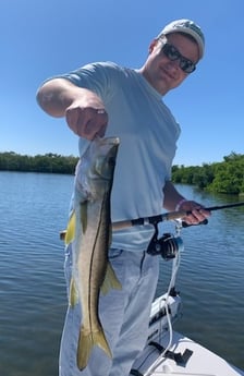 Snook Fishing in Clearwater, Florida