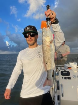 Redfish Fishing in Galveston, Texas