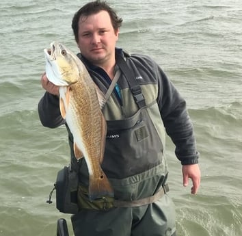 Redfish fishing in Galveston, Texas