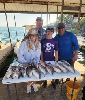 Striped Bass fishing in Burnet, Texas