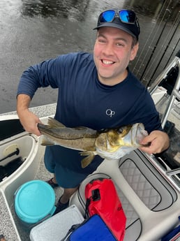 Snook Fishing in Holmes Beach, Florida