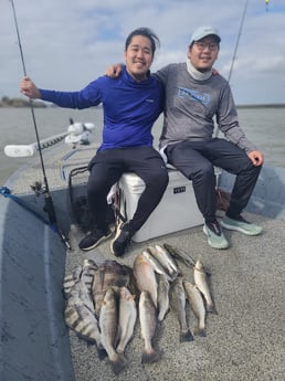 Black Drum, Sheepshead, Speckled Trout / Spotted Seatrout fishing in Galveston, Texas