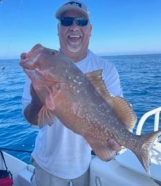 Red Grouper Fishing in Clearwater, Florida