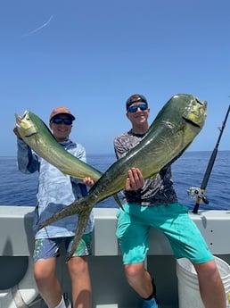 Mahi Mahi Fishing in Key West, Florida