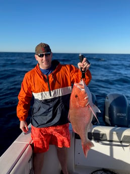 Florida Pompano, Sheepshead fishing in Pensacola, Florida