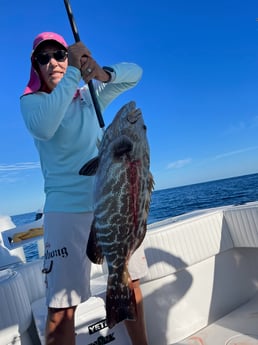 Black Grouper Fishing in Marathon, Florida