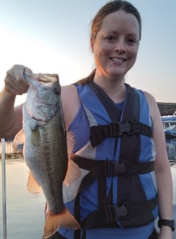 Largemouth Bass fishing in Austin, Texas