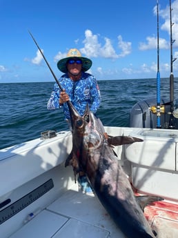 Swordfish Fishing in