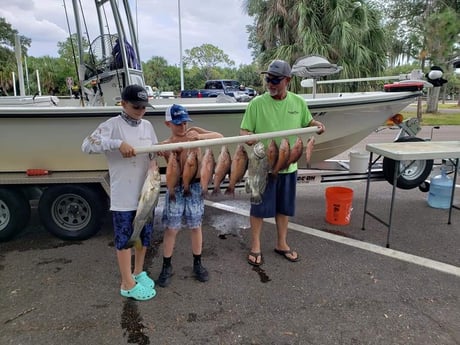 Mangrove Snapper, Snook, Tripletail fishing in St. Petersburg, Florida