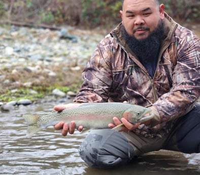 Rainbow Trout Fishing in