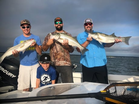 Striped Bass fishing in Whitney, Texas