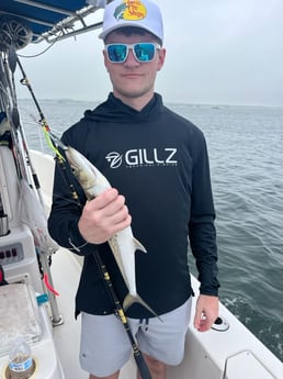 Spanish Mackerel Fishing in Destin, Florida