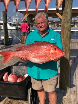 Red Snapper fishing in Orange Beach, Alabama