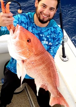 Red Snapper fishing in Galveston, Texas