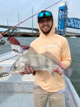 Black Drum, Redfish, Speckled Trout / Spotted Seatrout fishing in Galveston, Texas