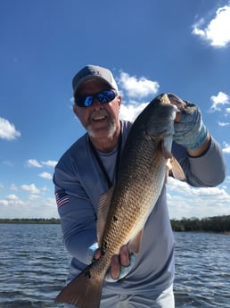 Speckled Trout / Spotted Seatrout fishing in Hudson, Florida