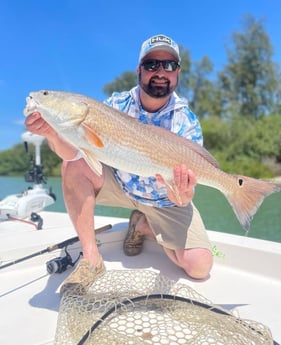 Snook fishing in Sarasota, Florida