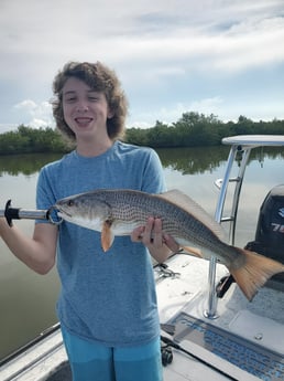 Redfish fishing in New Smyrna Beach, Florida