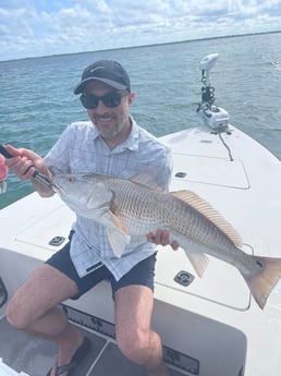 Redfish Fishing in Sarasota, Florida