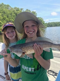 Redfish Fishing in St. Petersburg, Florida