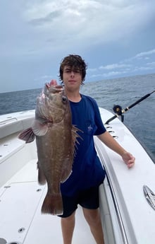 Snowy Grouper fishing in Orange Beach, Alabama