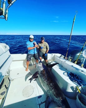 Swordfish Fishing in Freeport, Texas