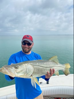 Redfish fishing in Sarasota, Florida