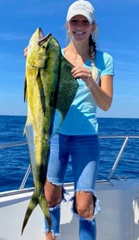 Mahi Mahi / Dorado fishing in Destin, Florida