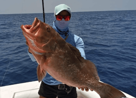 Fishing in St. Petersburg, Florida