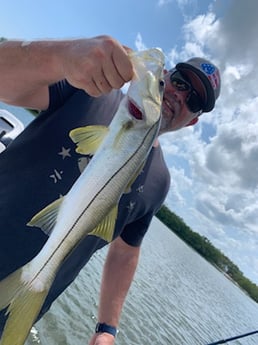 Redfish fishing in Clearwater, Florida