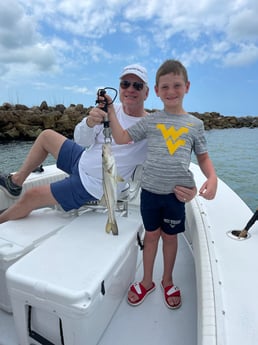 Barracuda fishing in Naples, Florida