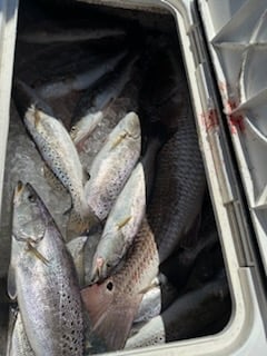 Fishing in Grand Isle, Louisiana