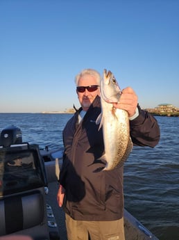 Speckled Trout Fishing in Galveston, Texas