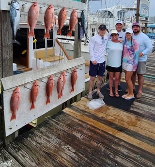 False Albacore, Red Snapper Fishing in Destin, Florida