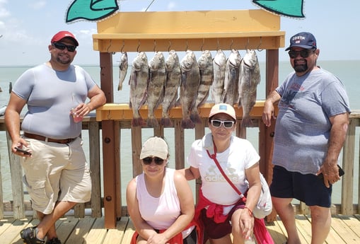 Black Drum fishing in Port Isabel, Texas