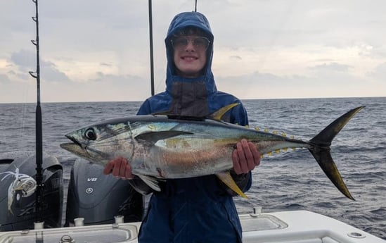 Yellowfin Tuna Fishing in Venice, Louisiana