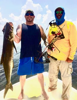 Cobia Fishing in Marathon, Florida