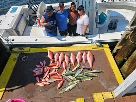 Mahi Mahi, Red Snapper, Vermillion Snapper Fishing in Panama City, Florida