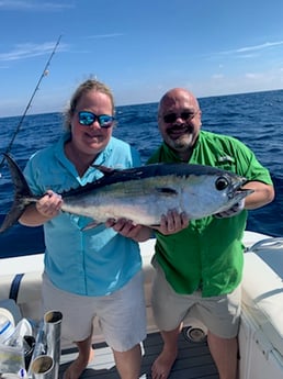 Blackfin Tuna fishing in Destin, Florida