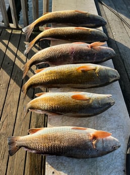 Redfish Fishing in Rockport, Texas