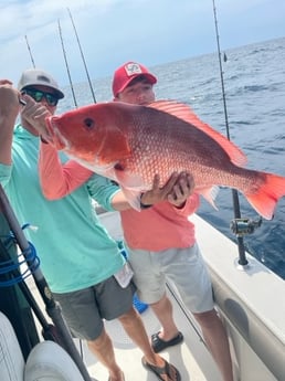 Red Snapper Fishing in Pensacola, Florida