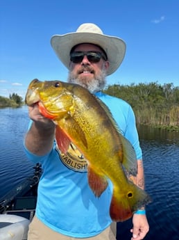 Fishing in Delray Beach, Florida