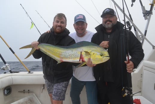 Mahi Mahi / Dorado fishing in Galveston, Texas