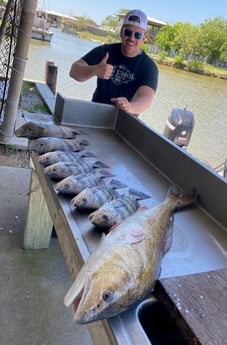 Black Drum, Redfish Fishing in Galveston, Texas