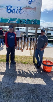 Redfish Fishing in Aransas Pass, Texas